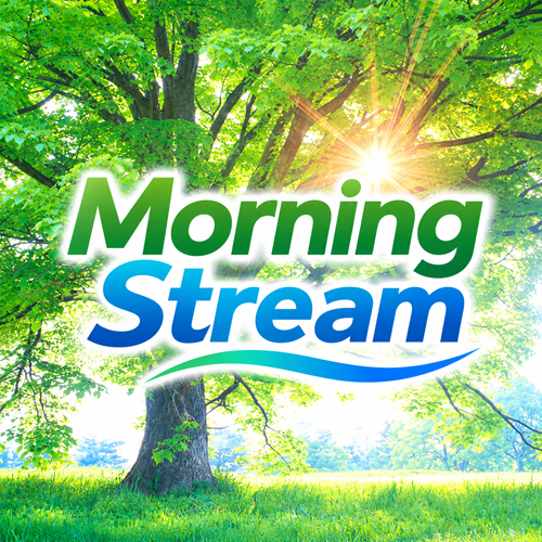 Morning Stream